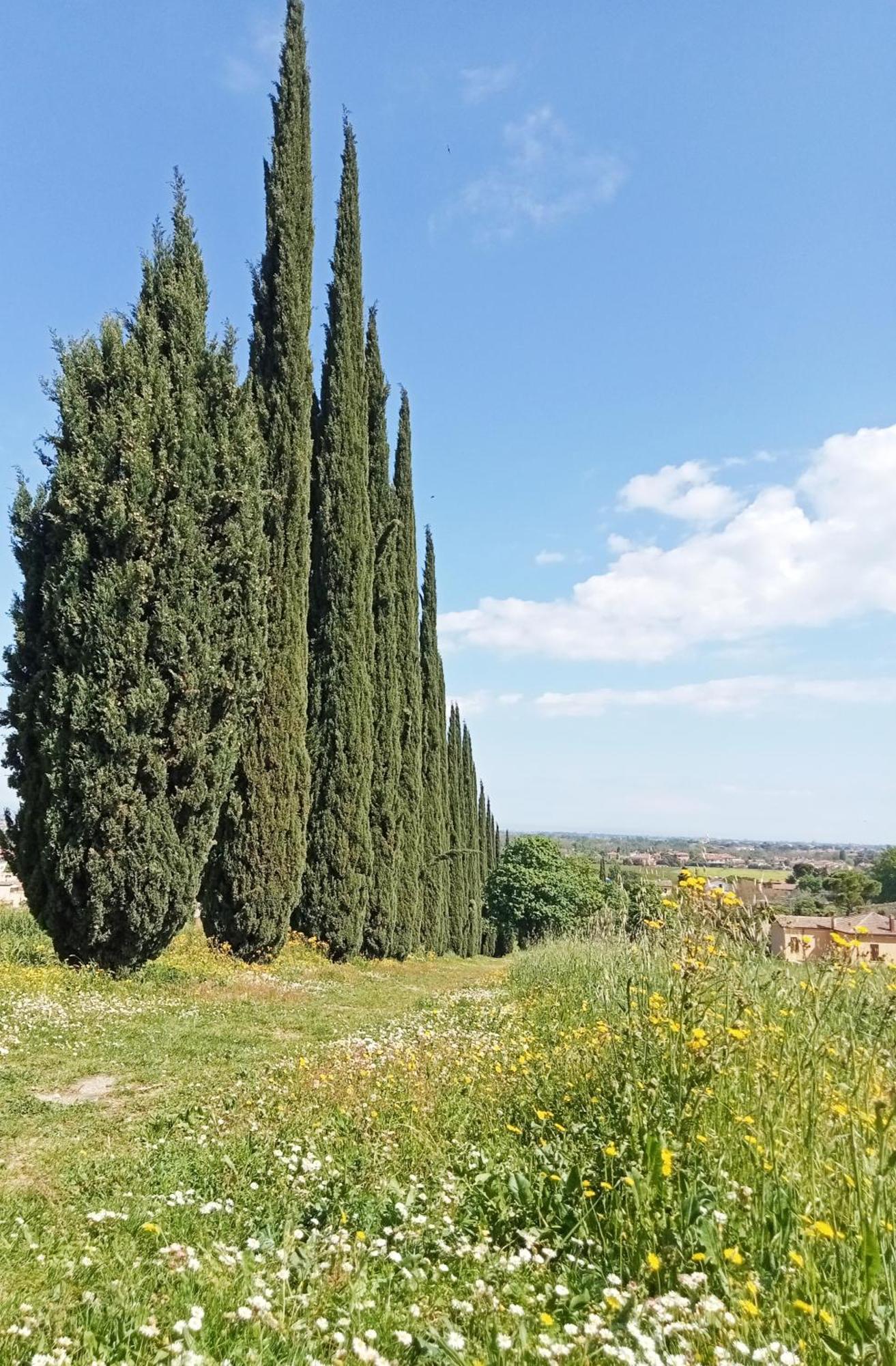 Casalice Santarcangelo di Romagna Exterior foto